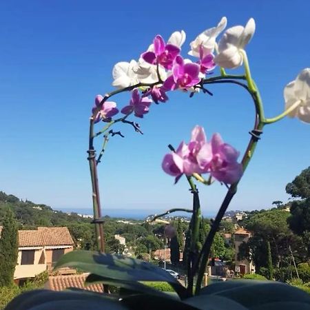 Hameau Du Soleil Apartment Cavalaire-sur-Mer Exterior foto
